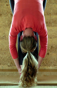 asana y day asana y day